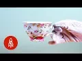 How Tea Time Came to England