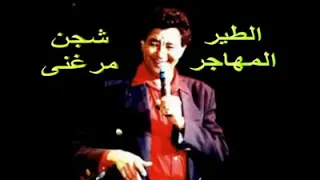 محمد وردى الطير المهاجر الشاعر صلاح احمد ابراهيم 