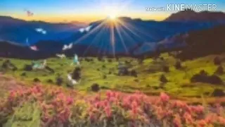 nelyland sunrise lyrics 