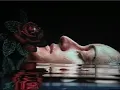 Easy Silence Dixie Chicks By PAntunes