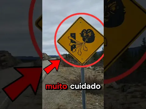 Se você vir esta placa na estrada, TENHA CUIDADO❗️⚠️