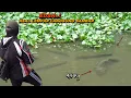 Lagu Gak nyangka..! Mancing di sungai dangkal nemu sarang ikan gabus besar berkumpul