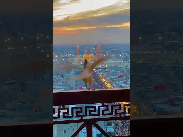 ⁣عظم الله أجورنا وأجوركم بذكرى استشهاد الإمام محمد الجواد عليه السلام