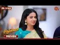 Download Lagu Aadukalam - Preview | 29 June 2025 | Tamil Serial | Sun TV