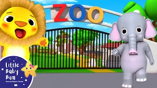 Zoo Song Nursery Rhymes And Kids Songs Little Baby Bum 