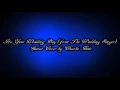 Stephen Lynch - It's Your Wedding Day (Guitar Cover)