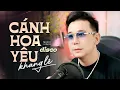 Download Lagu Cánh Hoa Yêu - Khang Lê Disco | Official Music Video