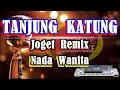 Download Lagu TANJUNG  KATUNG   NADA WANITA REMIX   Karaoke