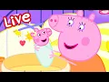 Peppa Pig BABY EVIE Episodes LIVE 🍼 Evie Pig's BEST Moments 🥹 Watch EVIE Now! 💛 Kids Cartoons