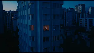                                           دندنها