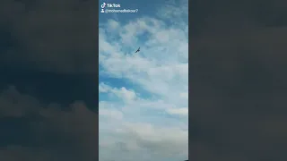 هاني شاكر يلي معاك بتديت أعرف كلمة هويت  هاني شاكر يلي معاك بتديت أعرف كلمة هويت