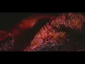 Soulman s Bar-B-Que 30 TV