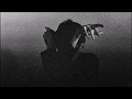 Signals - Júníus Meyvant