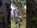 Download Lagu le président gabonais tape des bouteilles assis au sol 🤣 #gabon #oliguinguema #50ans  #anniversaire