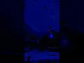 Download Lagu Ascendance joy coley 🎧 #sad #sadstatus #relatable #relaxing #lofi #goosebumps