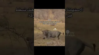 الاستهانة بقدرات خصمك تجعلك تسقط قبل أن تبدأ المعـ ركة اكسبلور اقتباسات كلمات لايك حالات واتس 