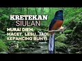 Download Lagu SUARA PANCINGAN MURAI BATU biar Emosi jadi NYAUT BUNYI GACOR BONGKAR ISIAN | TERAPI MURAI BATU 
