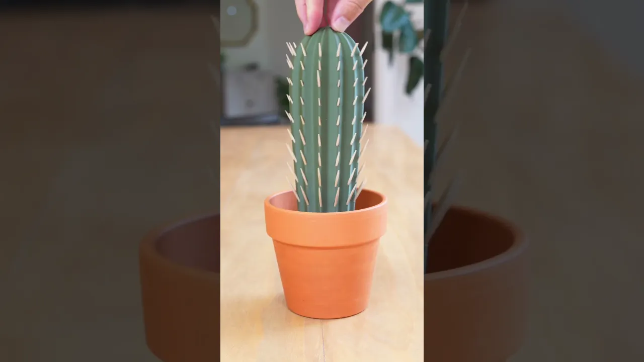 cactus coat hanger Cactus Mug Rack