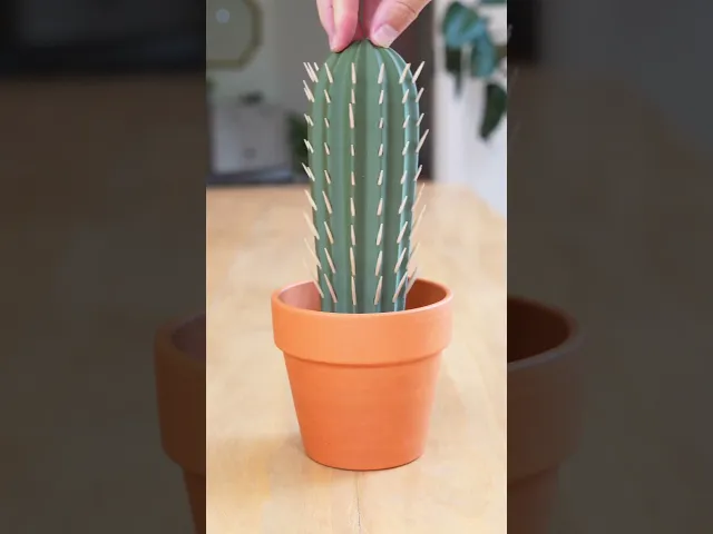 Clicky Cacti - Fidget Toy with Mechanical Switches - Pocket Plants video thumbnail