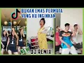 Download Lagu TIK TOK BUKAN EMAS PERMATA YANG KUPINTA || DJ CINTA HANYA SEKALI MILIK
