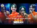 Lagu Surat Merah - Mawar Aprillia ft Sabila Permata New Pallapa (live Petraka 2024) | Season X