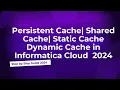 40 Lookup Cache in Informatica Cloud 2024 Persistent Shared Cache Static Cache Dynamic Cache