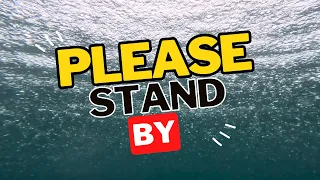 please stand by….