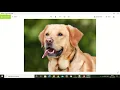 Data Augmentation with Keras - Demo and Explanation
