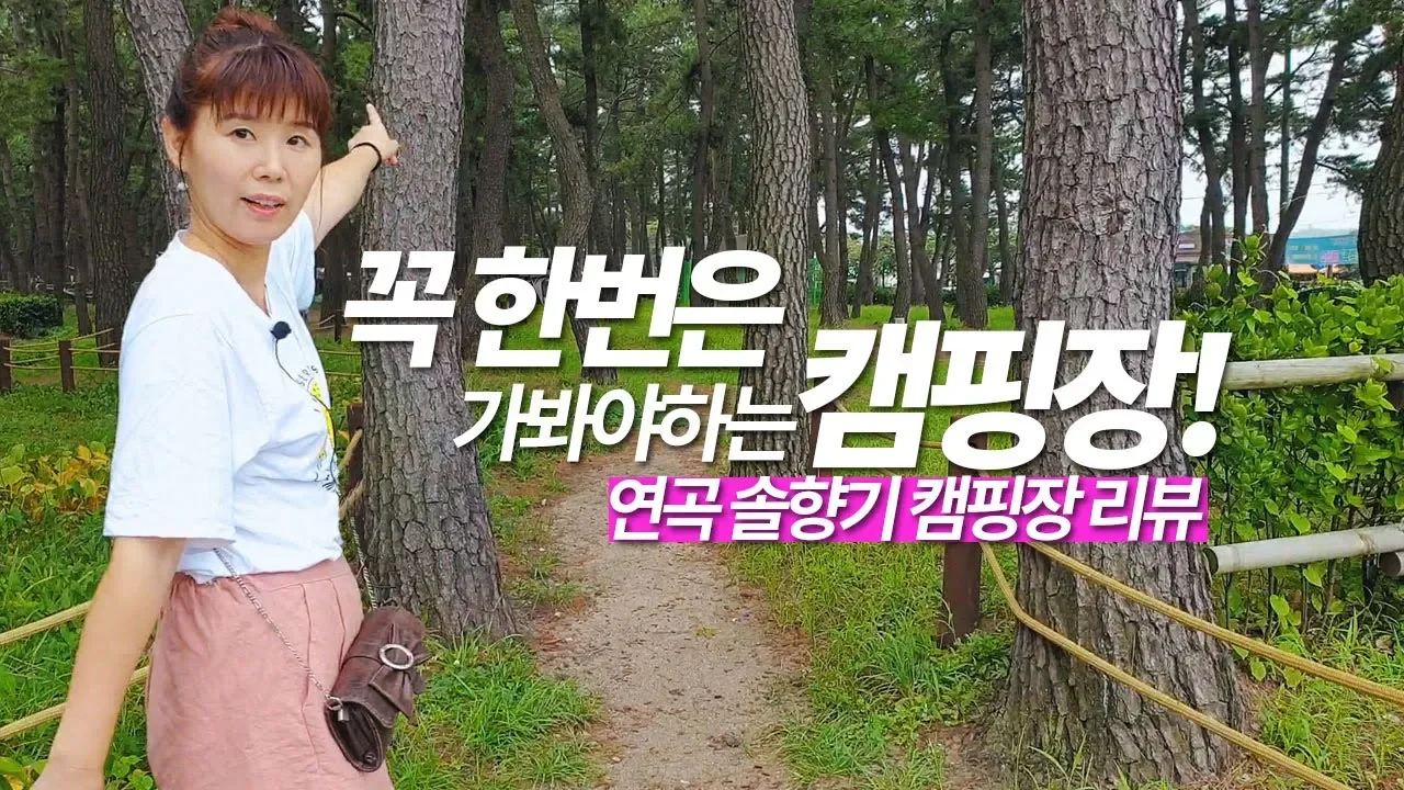 캠퍼라면 꼭 한번은! 캠핑장 추천! 끝없는 동해바다가 펼쳐진 연곡 솔향기 캠핑장 리뷰 썸네일