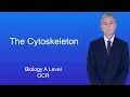A Level Biology Revision The Cytoskeleton OCR