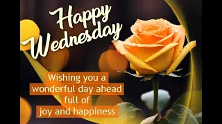 Beautiful Happy Wednesday Wishes Elegant Floral Good Morning Greetings