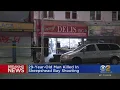 NYPD 29-year-old man shot dead in Sheepshead Bay