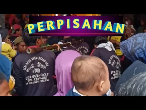 CUTA Muda dicikandang