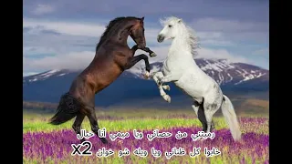 اغنية دكتور بدون موسيقى مع كلمات دندنها