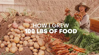 🥔 My Peaceful Garden Tour: How I Grew 100 lbs of Potatoes, Pumpkins, Corn, & Carrots!