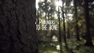 Download Pamungkas - To the bone (Lyrics video) Tik Tok Take me home, i'm falling MP3