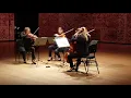 Ivana String Quartet/Viva La Vida Coldplay