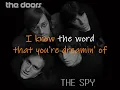 The spy KARAOKE by the DOORS ( lucien depuydt karaoke )