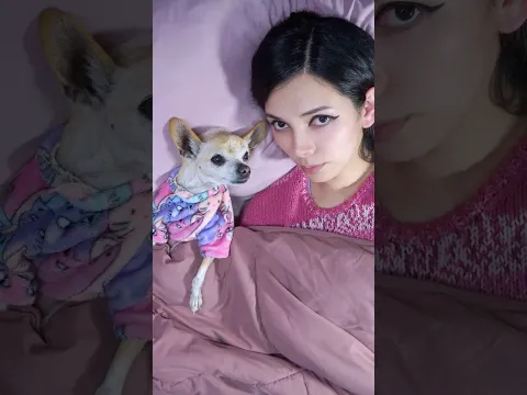 Mi bebé es un dinosaurio 🦖