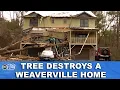 Extreme Winds Bring Down Tree on Weaverville Home