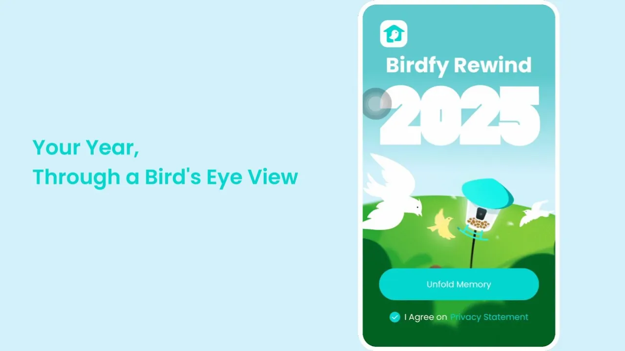 Birdfy by Netvue — Birdfy Rewind 2025 (YouTube video ad)