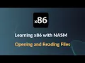 Learning x86 with NASM - Opening and Reading Files