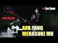 Download Lagu ENTAH APA YANG MERASUKIMU (SALAH APA AKU) - BE PROJECT cover