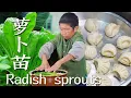 Download Lagu 种的萝卜苗太多了，摘一些出来做了腊菜，腊菜肉馅米粉盒子真香