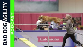 317 2022 AKC Agility Invitational Wrap Up with Jane Bronson
