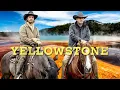 YELLOWSTONE 50 Facts You Didn t Know