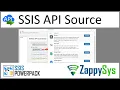 SSIS API Source - Read data from popular API Data Sources using predefined Connector File