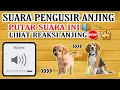 Download Lagu SUARA PENGUSIR ANJING !! Anjing Auto Kabur