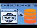 How To Scrape Data From Any Website Using Python