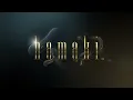 Hamaki - Aash Min Shafak (Official Lyric Video) / حماقي - عاش من شافك - كلمات - Nogoum Records